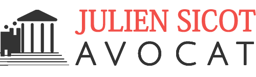 Logo Julien Sicot - fond clair